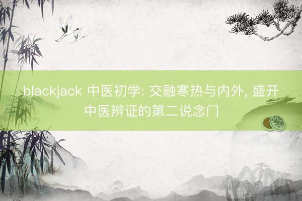 blackjack 中医初学: 交融寒热与内外, 盛开中医辨证的第二说念门