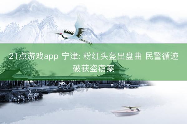 21点游戏app 宁津: 粉红头盔出盘曲 民警循迹破获盗窃案