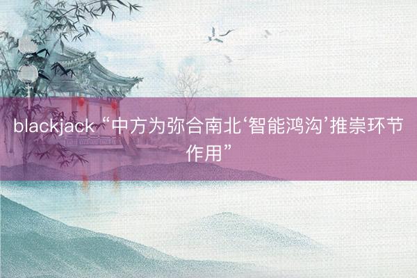 blackjack “中方为弥合南北‘智能鸿沟’推崇环节作用”
