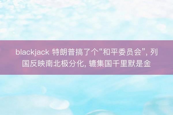 blackjack 特朗普搞了个“和平委员会”, 列国反映南北极分化, 辘集国千里默是金