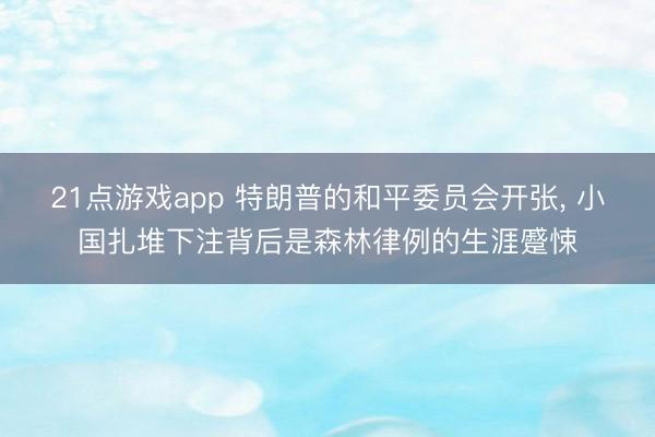 21点游戏app 特朗普的和平委员会开张, 小国扎堆下注背后是森林律例的生涯蹙悚