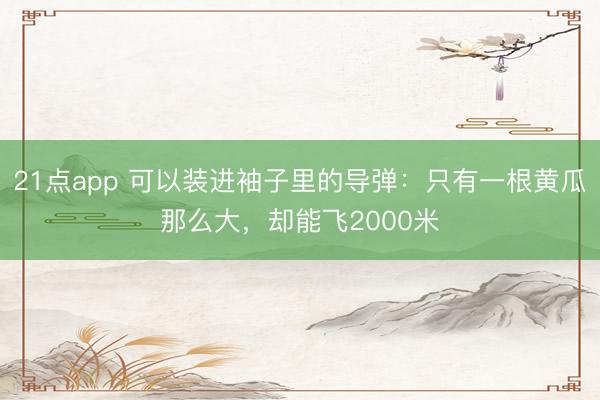 21点app 可以装进袖子里的导弹：只有一根黄瓜那么大，却能飞2000米