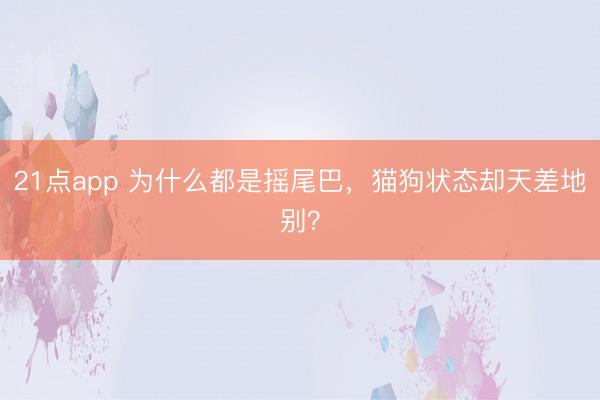 21点app 为什么都是摇尾巴，<a href=
