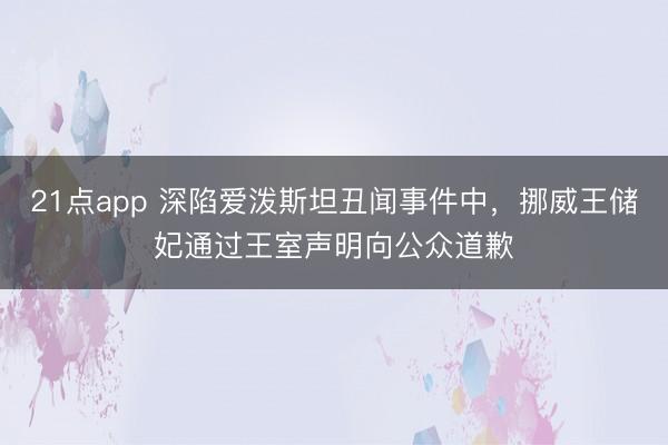 21点app 深陷爱泼斯坦丑闻事件中,挪威王储妃通过王室声明向公众道歉