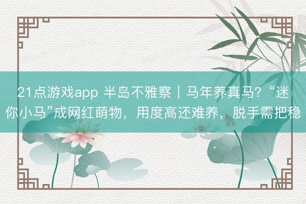 21点游戏app 半岛不雅察｜马年养真马？“迷你小马”成网红萌物，用度高还难养，脱手需把稳
