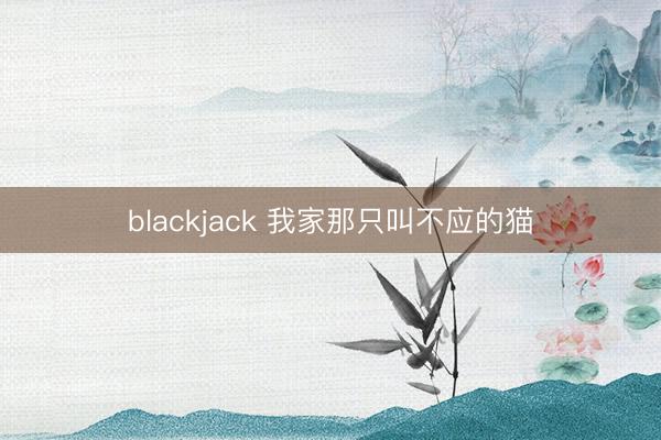 blackjack 我家那只叫不应的猫