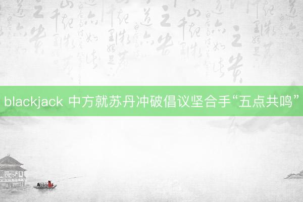 blackjack 中方就苏丹冲破倡议坚合手“五点共鸣”