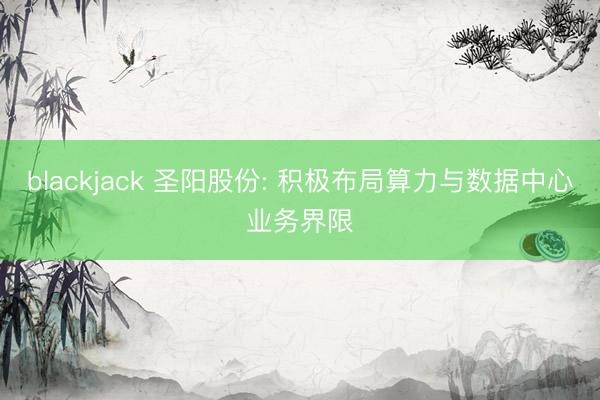 blackjack 圣阳股份: 积极布局算力与数据中心业务界限