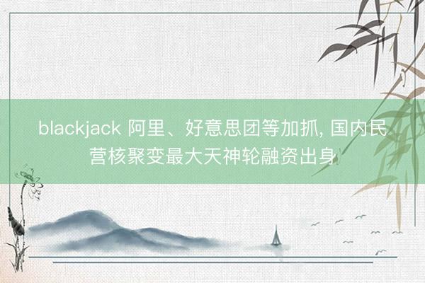 blackjack 阿里、好意思团等加抓， 国内民营核聚变最大天神轮融资出身