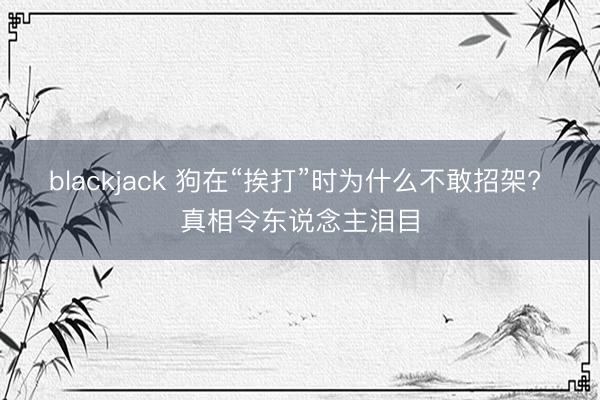 blackjack 狗在“挨打”时为什么不敢招架? 真相令东说念主泪目