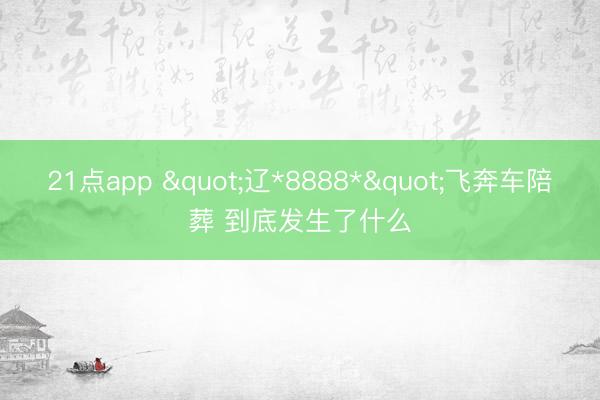 21点app "辽*8888*"飞奔车陪葬 到底发生了什么