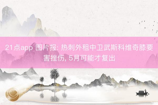 21点app 图片报: 热刺外租中卫武斯科维奇膝要害挫伤， 5月可能才复出