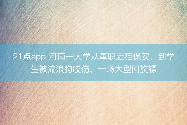 21点app 河南一大学从革职赶猫保安，到学生被流浪狗咬伤，一场大型回旋镖