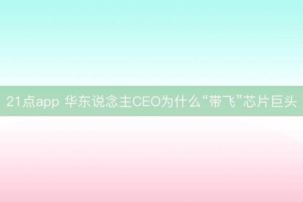 21点app 华东说念主CEO为什么“带飞”芯片巨头