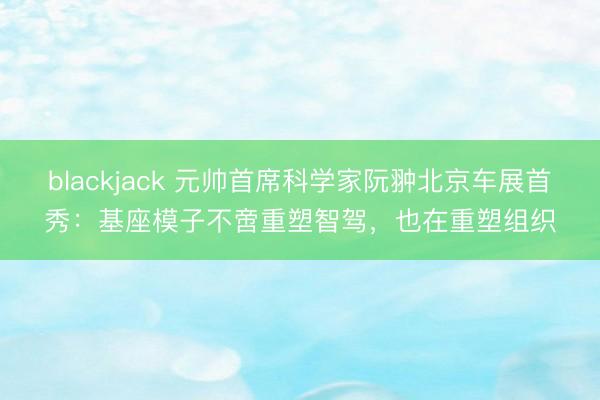 blackjack 元帅首席科学家阮翀北京车展首秀：基座模子不啻重塑智驾，也在重塑组织