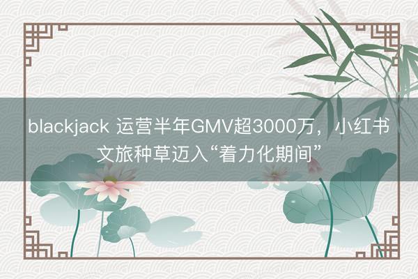 blackjack 运营半年GMV超3000万，小红书文旅种草迈入“着力化期间”