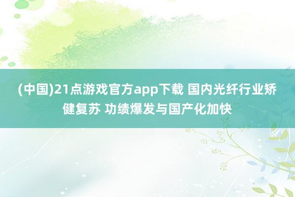 (中国)21点游戏官方app下载 国内光纤行业矫健复苏 功绩爆发与国产化加快
