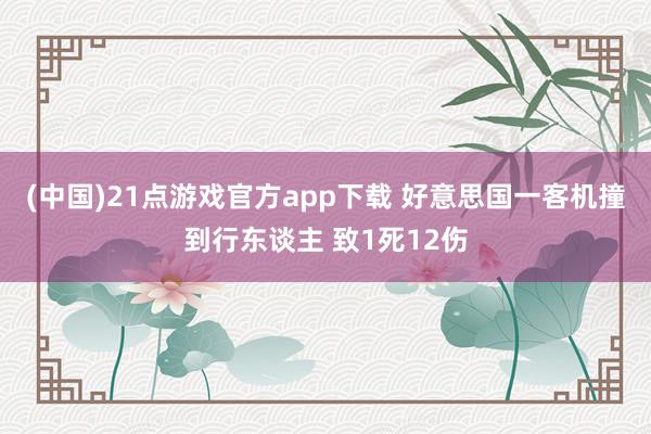 (中国)21点游戏官方app下载 好意思国一客机撞到行东谈主 致1死12伤