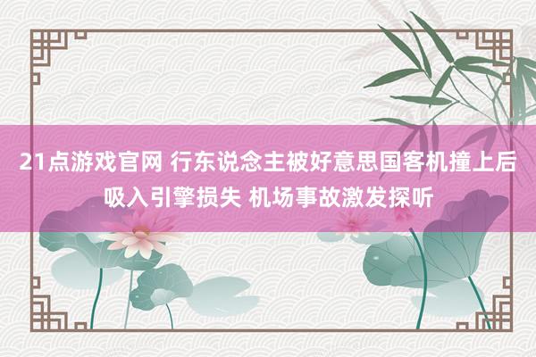 21点游戏官网 行东说念主被好意思国客机撞上后吸入引擎损失 机场事故激发探听