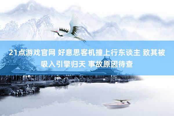 21点游戏官网 好意思客机撞上行东谈主 致其被吸入引擎归天 事故原因待查