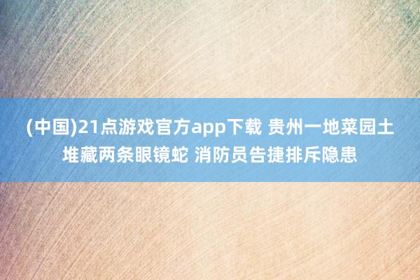 (中国)21点游戏官方app下载 贵州一地菜园土堆藏两条眼镜蛇 消防员告捷排斥隐患