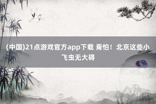 (中国)21点游戏官方app下载 甭怕！北京这些小飞虫无大碍