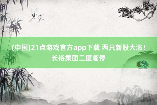 (中国)21点游戏官方app下载 两只新股大涨！长裕集团二度临停