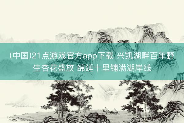 (中国)21点游戏官方app下载 兴凯湖畔百年野生杏花盛放 绵延十里铺满湖岸线