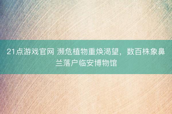 21点游戏官网 濒危植物重焕渴望，数百株象鼻兰落户临安博物馆