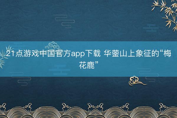 21点游戏中国官方app下载 华蓥山上象征的“梅花鹿”