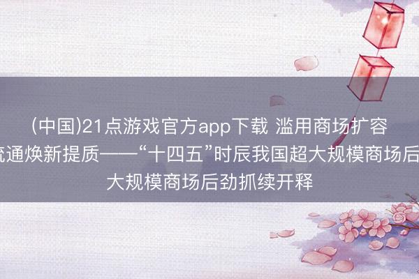 (中国)21点游戏官方app下载 滥用商场扩容升级 商贸流通焕新提质——“十四五”时辰我国超大规模商场后劲抓续开释
