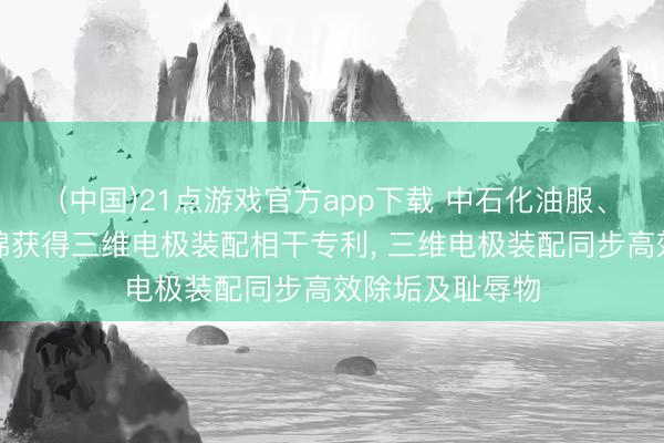 (中国)21点游戏官方app下载 中石化油服、中石化江汉缠绵获得三维电极装配相干专利, 三维电极装配同步高效除垢及耻辱物