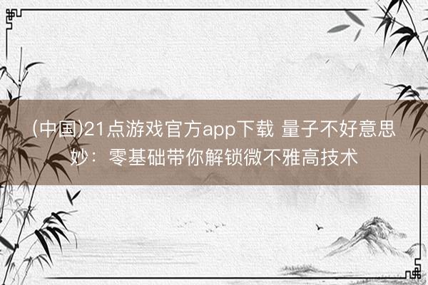 (中国)21点游戏官方app下载 量子不好意思妙：零基础带你解锁微不雅高技术