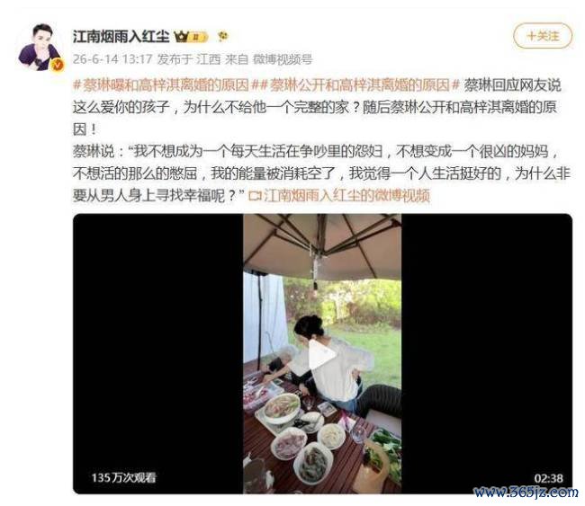 蔡琳首度公开与高梓淇六年跨国婚配赶走的原因 争吵与压抑铺张了我